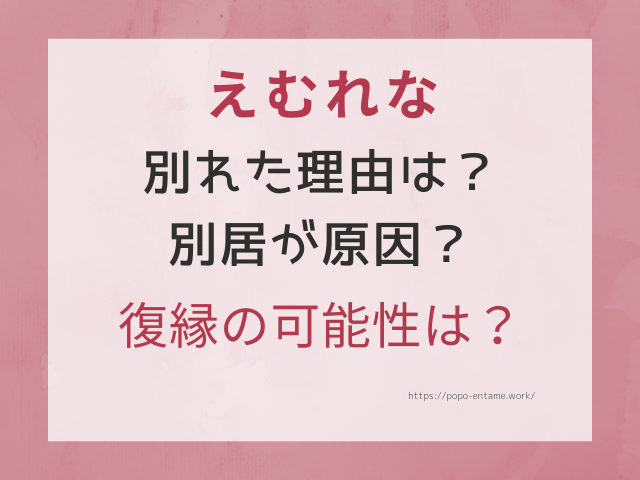 えむれなが別れた理由は別居が原因 復縁 結婚の可能性はなし エンタメドラマ映画ネタバレ